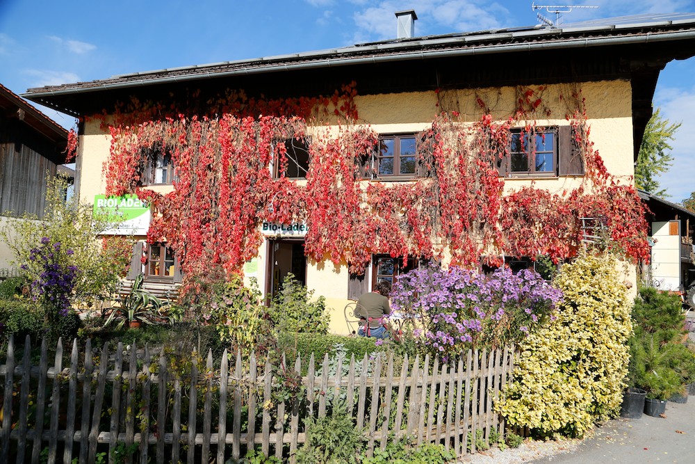 Laden Im Garten Reife Frau Die Blumentopfe In Der