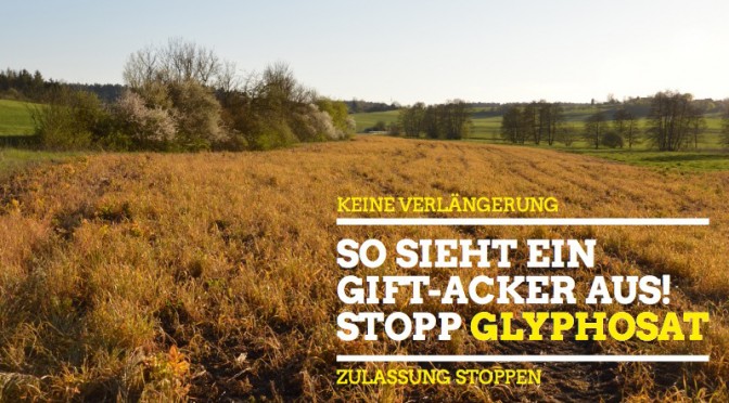 Groß angelegter Glyphosat-Freilandversuch in Bayern